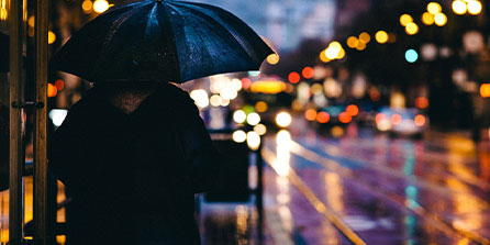 KAIYUN 中国大陆-_森林狼迎来反弹，球队士气大增_，森林狼近况