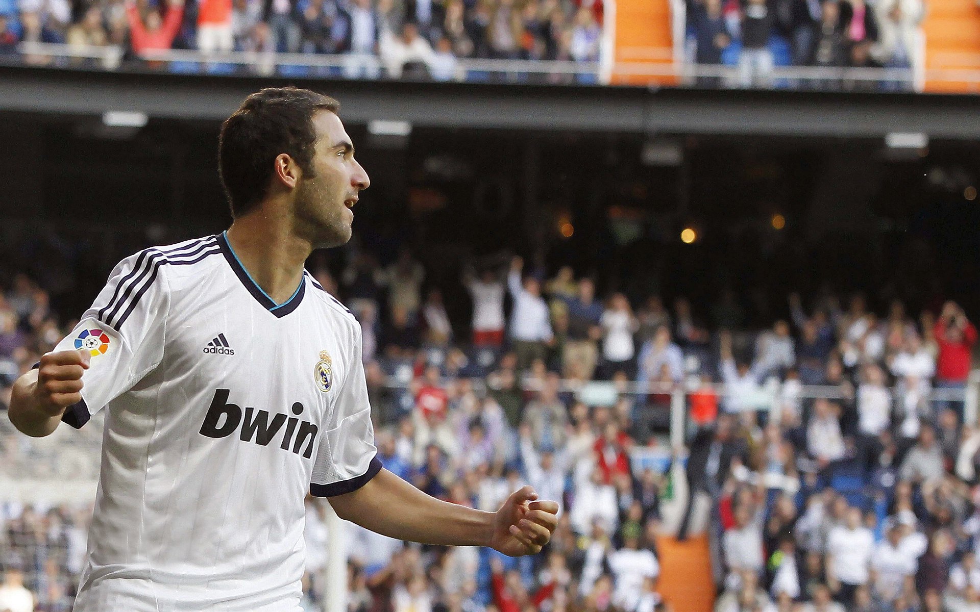 开云网页版-《Rookie:稳步前行,以实力登顶》 第2张 开云网页版-《Rookie:稳步前行,以实力登顶》 第2张