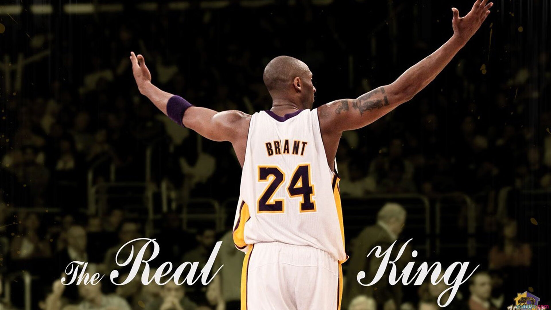 开云平台-史上最年轻“冠军射手”夺冠瞬间！，最年轻的射箭冠军