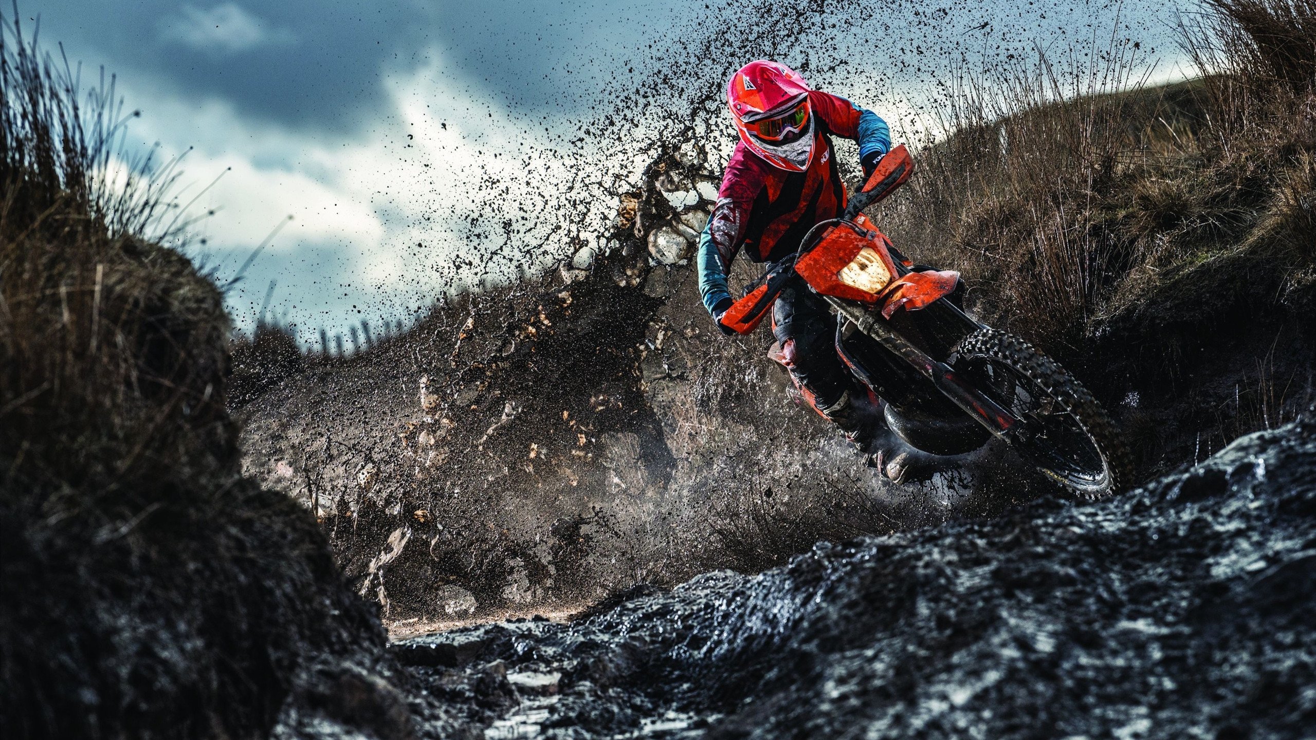 Kaiyun官方登录入口-德国骑手拉里萨·保利斯在2024年巴黎奥运会盛装舞步比赛中以“Luna”马匹获得第七名，展现出色表现。